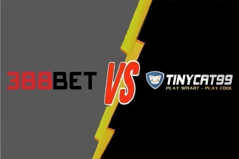 388Bet hợp tác với Tinycat99